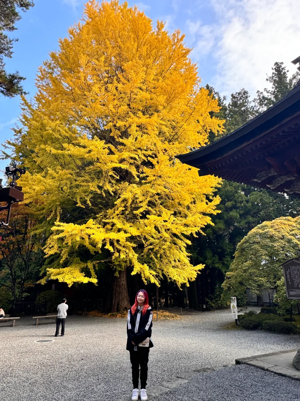 Ali Phuong’s travel memories